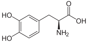 580px-3,4-Dihydroxy-L-phenylalanin_(Levodopa).svg