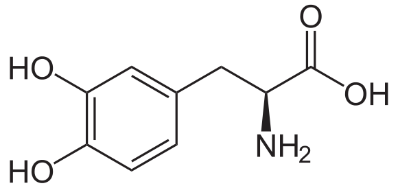 580px-3,4-Dihydroxy-L-phenylalanin_(Levodopa).svg