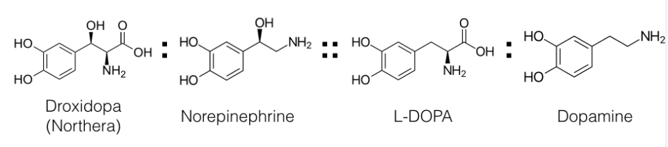 chemical analogy (droxidopa)